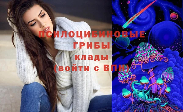 герыч Алзамай